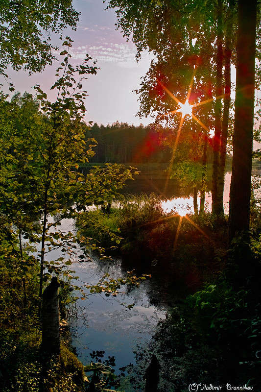 ������� ����� Vladimir Bronnikov �� PhotoGeek.ru #������ ��� �������