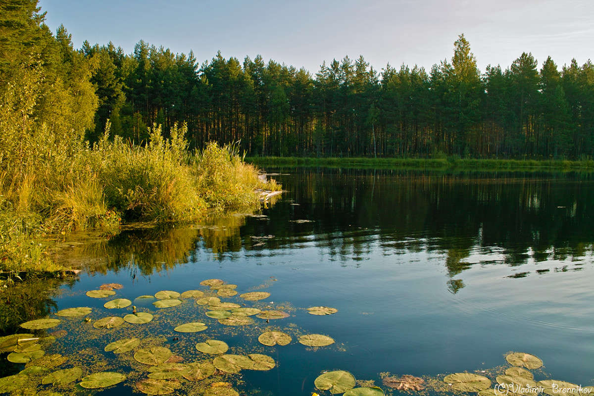 ������� ����� Vladimir Bronnikov �� PhotoGeek.ru #������ ��� �������