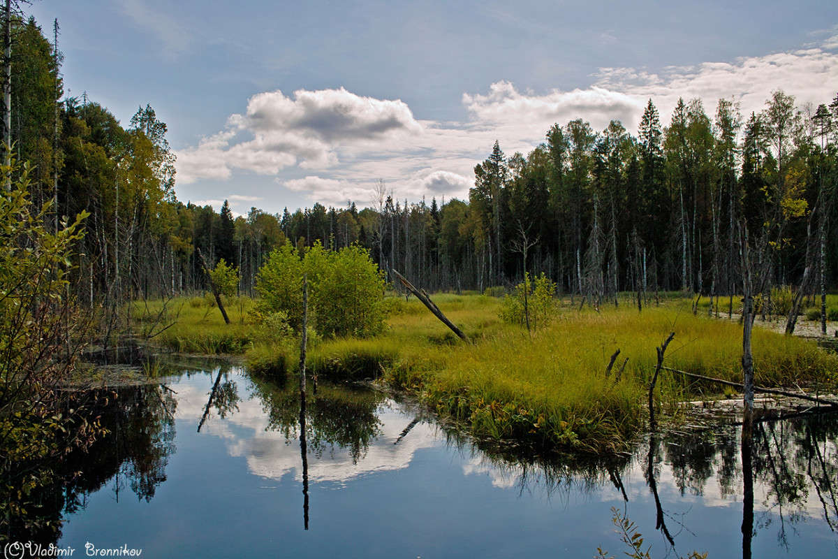 ������� ����� Vladimir Bronnikov �� PhotoGeek.ru #������ ��� �������