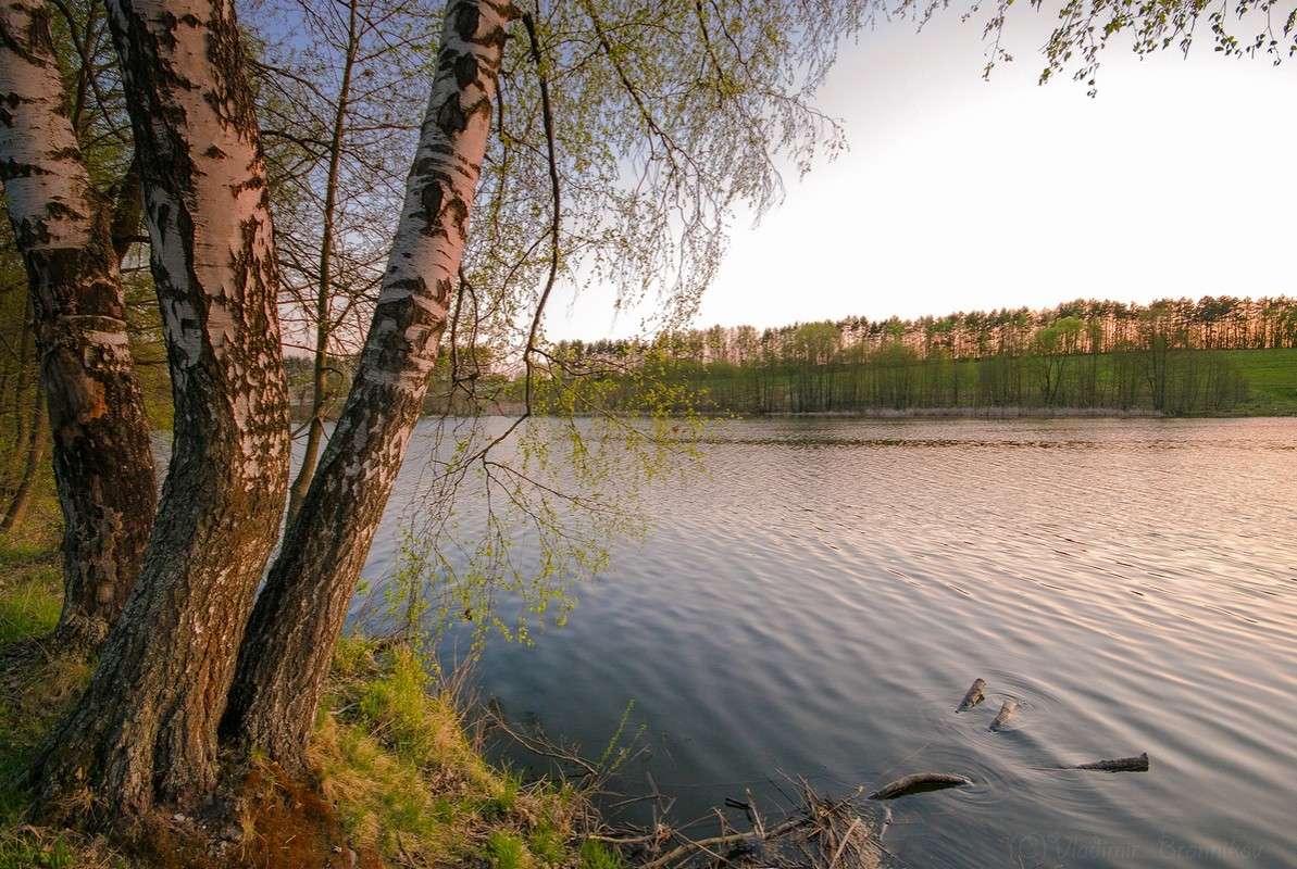 ��������� ���� ���������� ������. ����� Vladimir Bronnikov �� PhotoGeek.ru #������ ��� �������