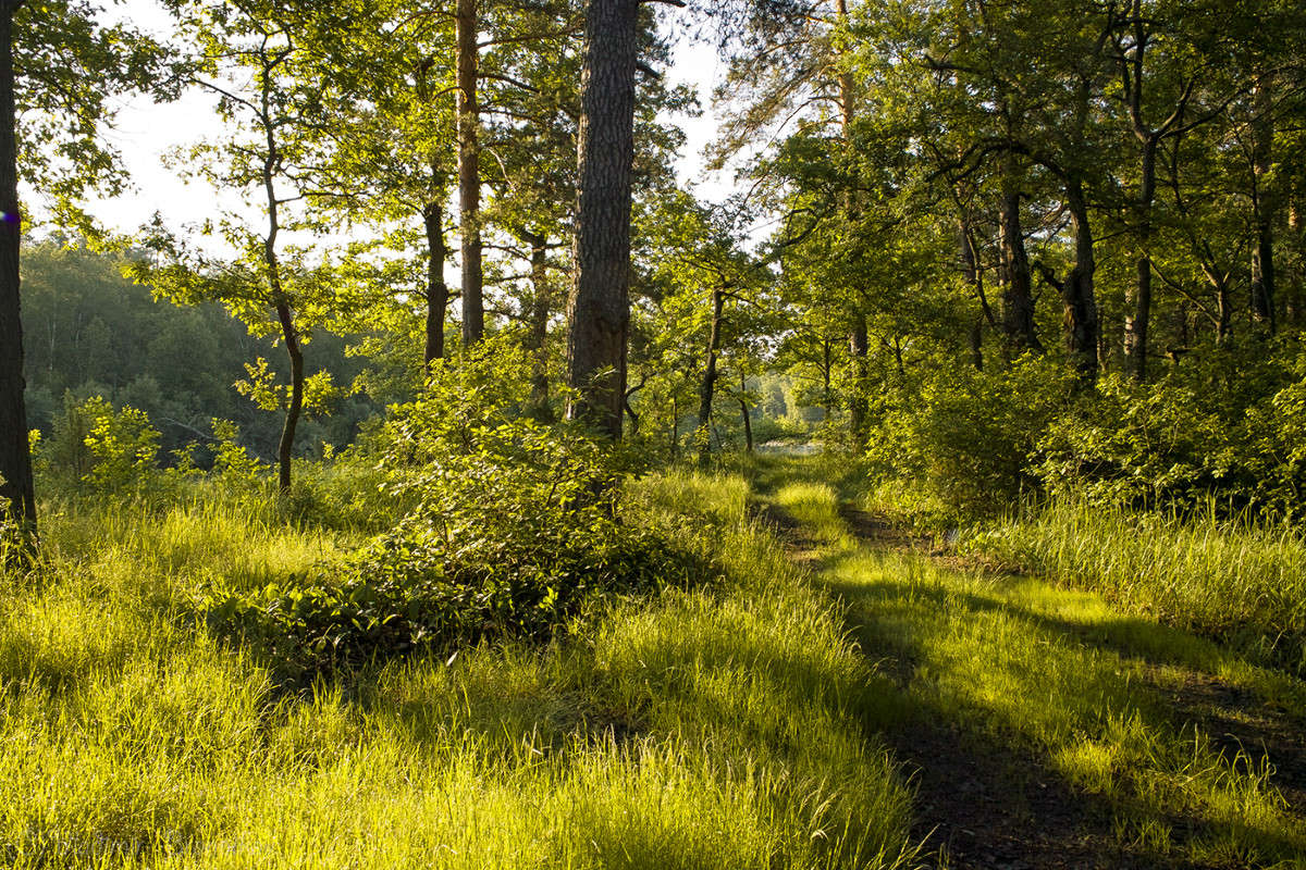 ��������� ���� � ����! ����� Vladimir Bronnikov �� PhotoGeek.ru #������ ��� �������