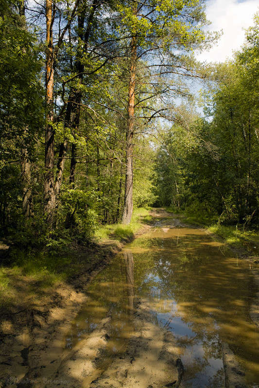 ������� �������� ........... ����� Vladimir Bronnikov �� PhotoGeek.ru #������ ��� �������