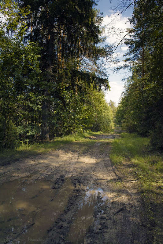 ������� �������� 2............. ����� Vladimir Bronnikov �� PhotoGeek.ru #������ ��� �������