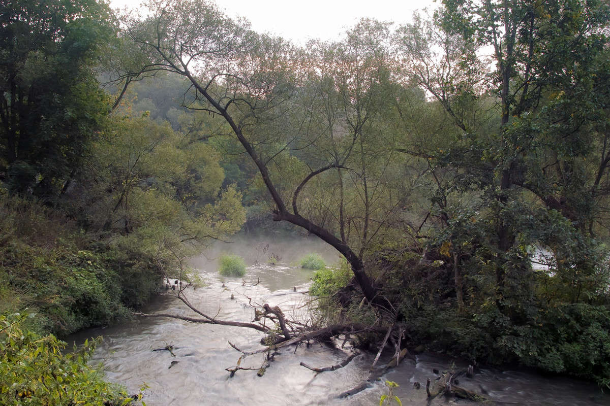 ��������........ ����� Vladimir Bronnikov �� PhotoGeek.ru #������ ��� �������