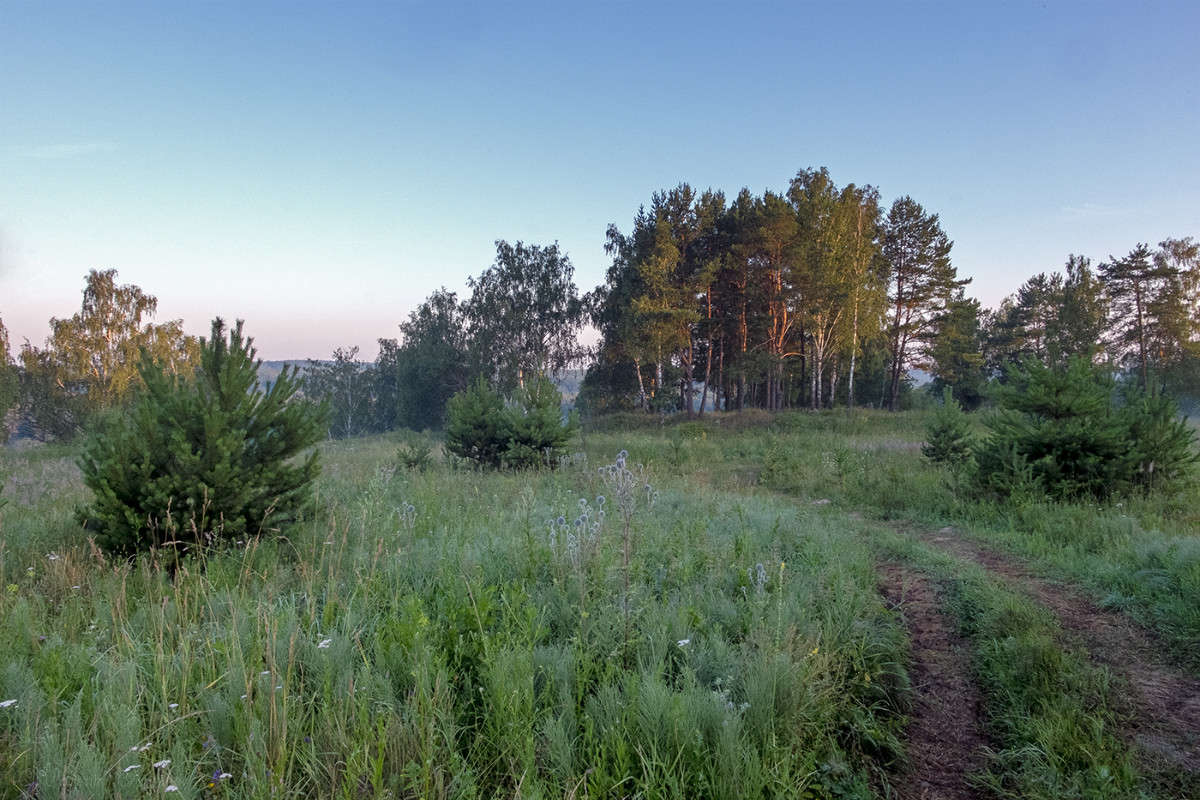 ��������� ����........ ����� Vladimir Bronnikov �� PhotoGeek.ru #������ ��� �������