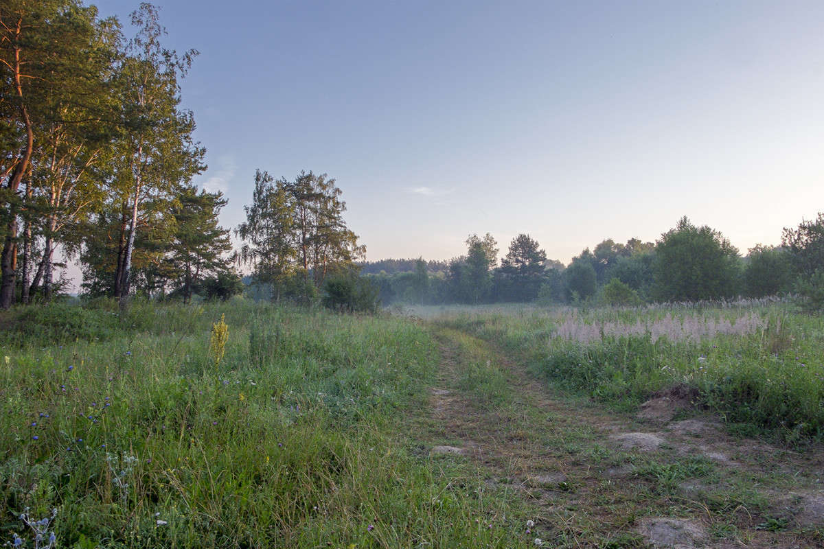 ������ ���� 2014 ����� Vladimir Bronnikov �� PhotoGeek.ru #������ ��� �������