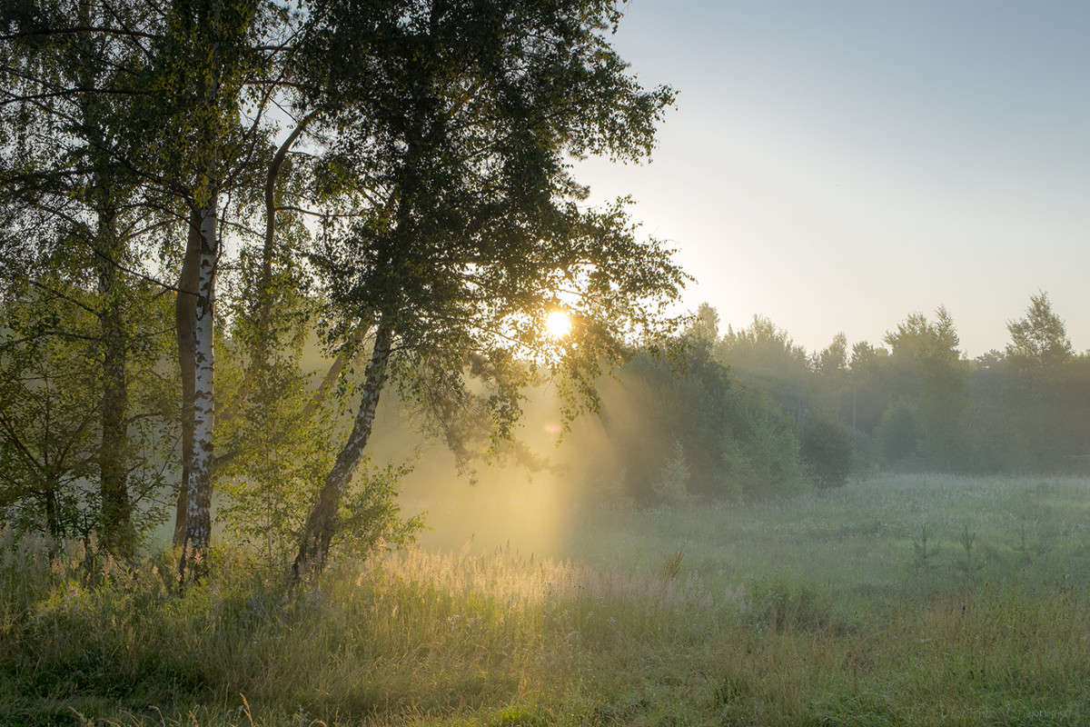 ���� ������� ���� 1 ����� Vladimir Bronnikov �� PhotoGeek.ru #������ ��� �������