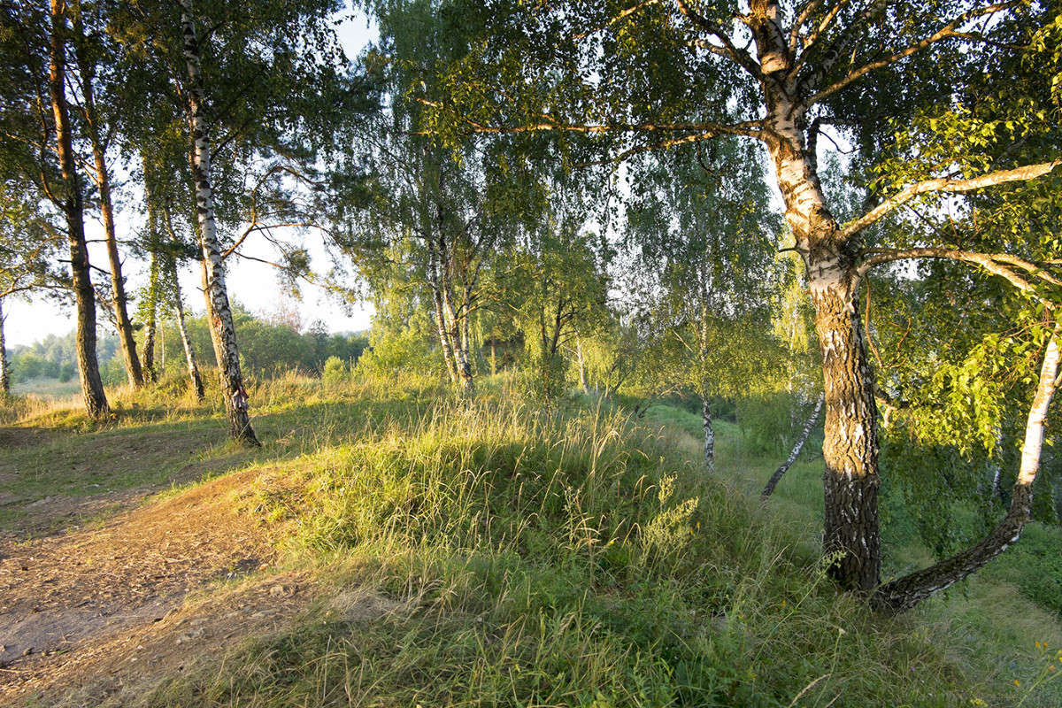 ���� ������� ���� 2 ����� Vladimir Bronnikov �� PhotoGeek.ru #������ ��� �������