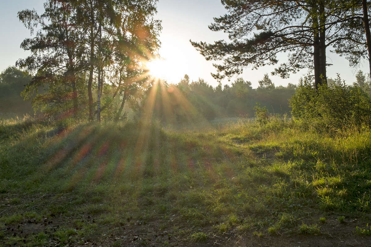 ���� ������� ���� 4 ����� Vladimir Bronnikov �� PhotoGeek.ru #������ ��� �������