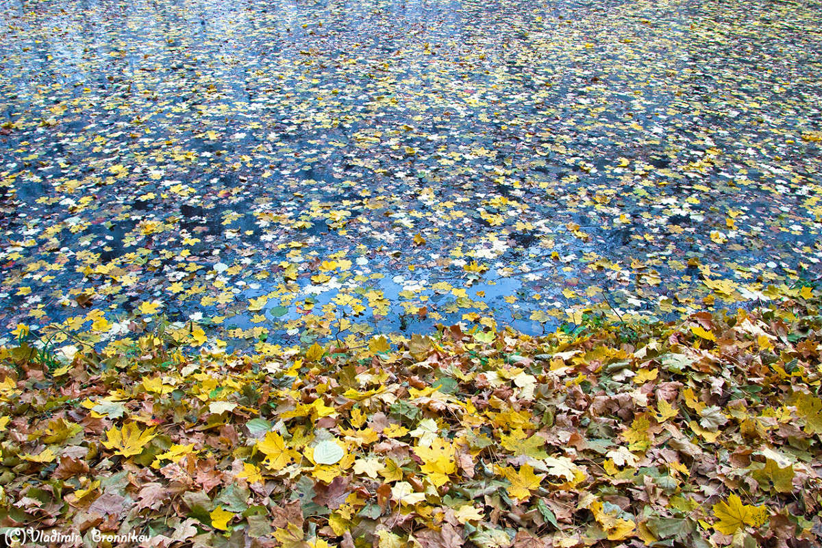 ��� ����� �����........... ����� Vladimir Bronnikov �� PhotoGeek.ru #������ ��� �������