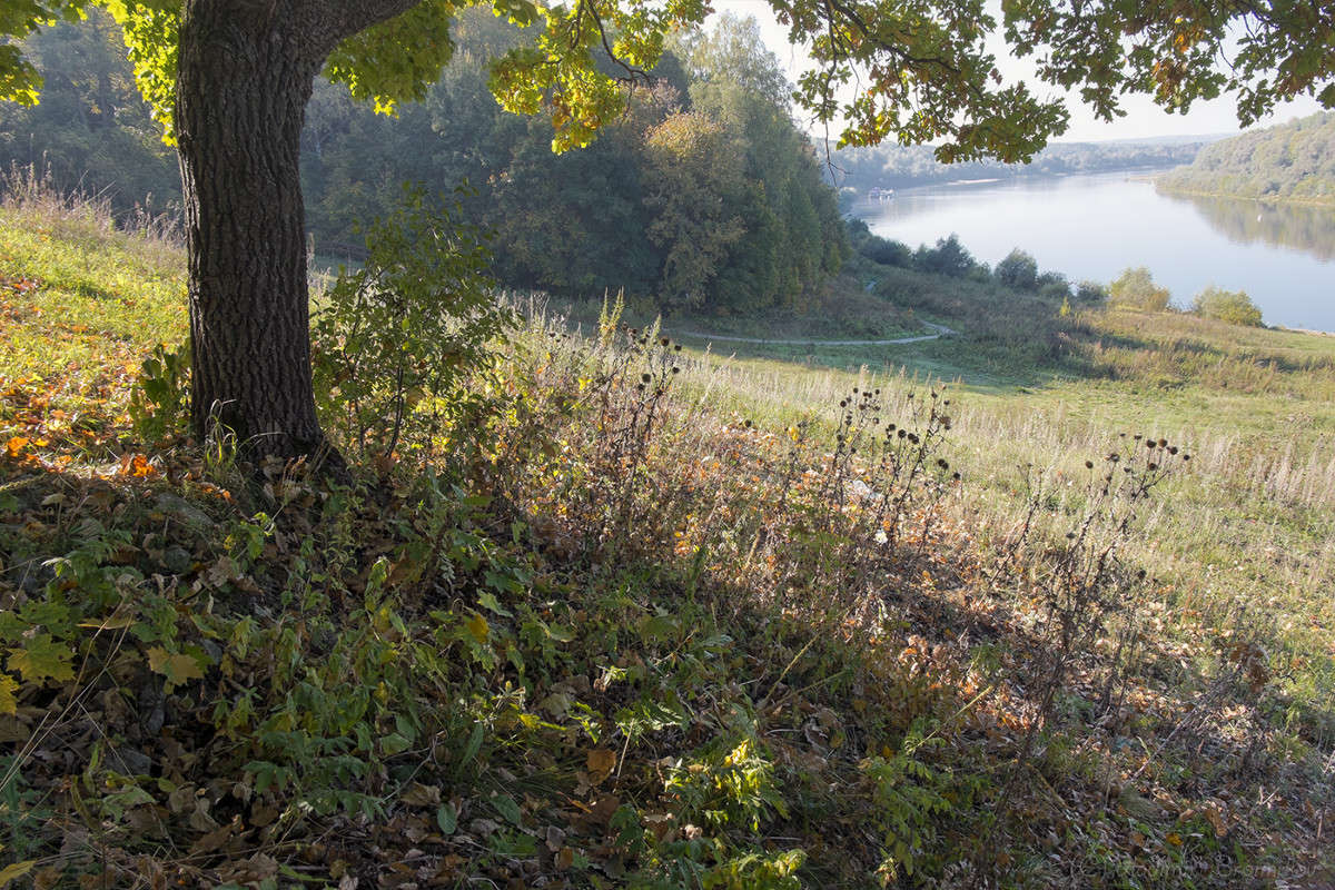 ������ ��� � (������)-��������! ����� Vladimir Bronnikov �� PhotoGeek.ru #������ ��� �������