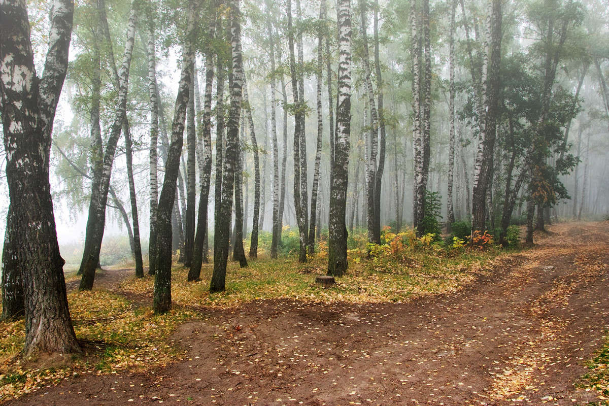 �������� ����! ����� Vladimir Bronnikov �� PhotoGeek.ru #������ ��� �������