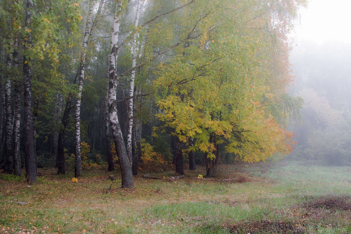 ����� �� ������! ����� Vladimir Bronnikov �� PhotoGeek.ru #������ ��� �������