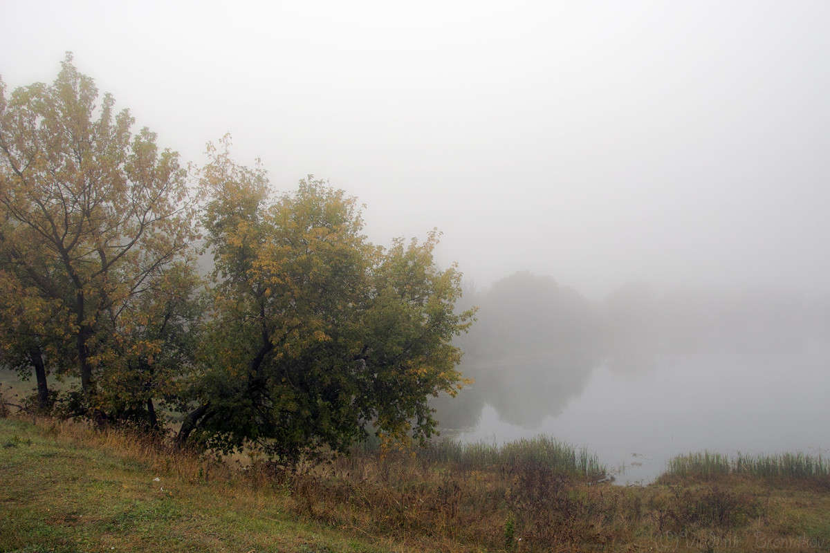 ��� ����� �����............. ����� Vladimir Bronnikov �� PhotoGeek.ru #������ ��� �������