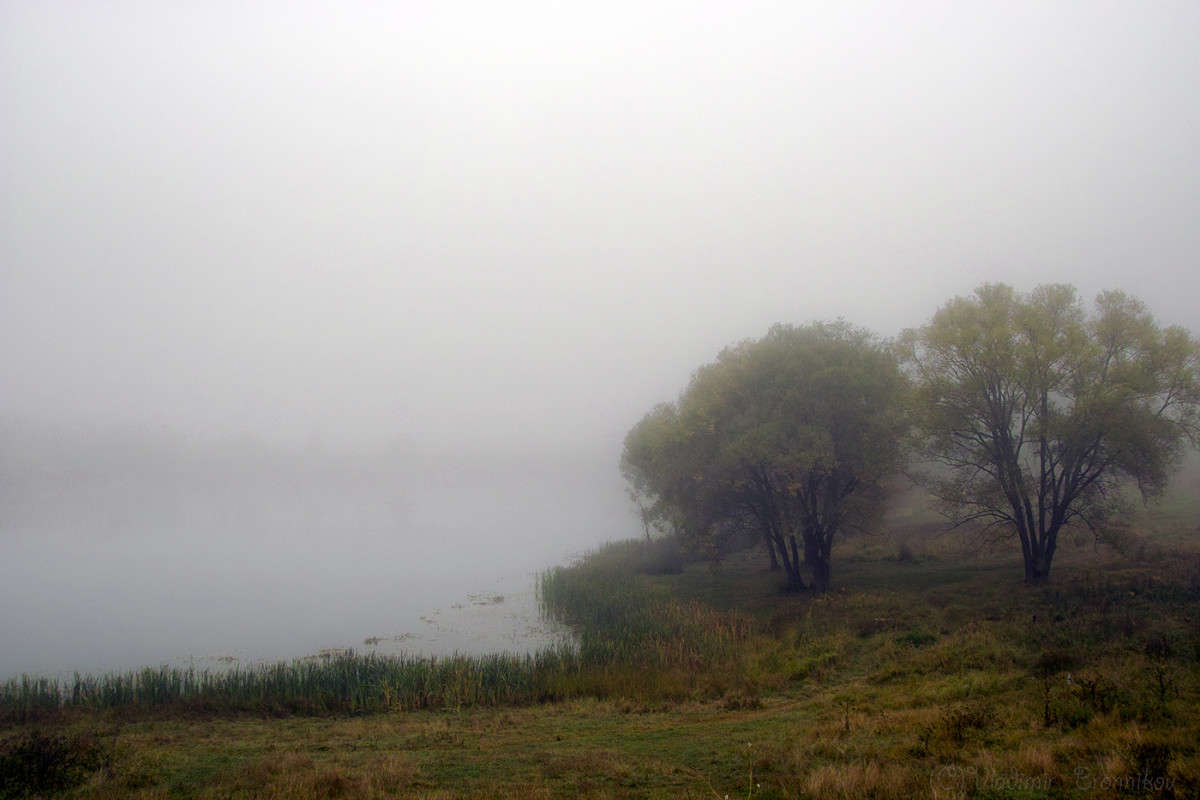 ����� �� �����! ����� Vladimir Bronnikov �� PhotoGeek.ru #������ ��� �������