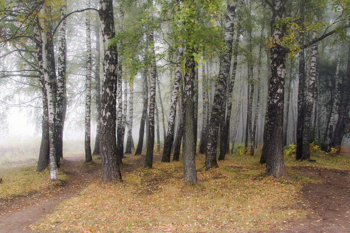 ������� ��� ����� Vladimir Bronnikov �� PhotoGeek.ru #������ ��� �������