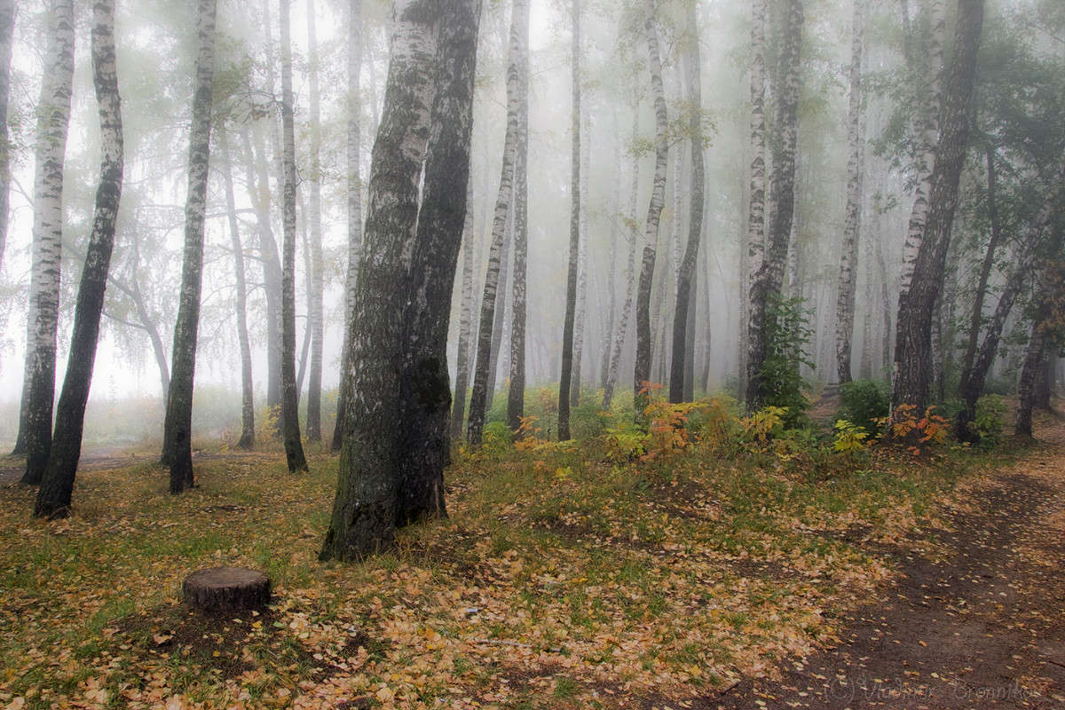 �������� ���! ����� Vladimir Bronnikov �� PhotoGeek.ru #������ ��� �������