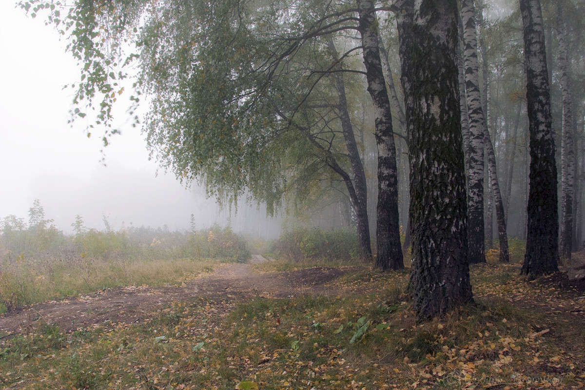 ������� �����! ����� Vladimir Bronnikov �� PhotoGeek.ru #������ ��� �������