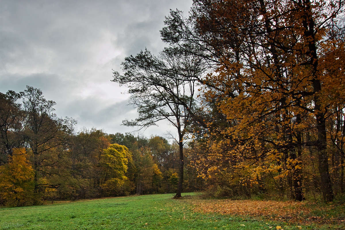����� ������! ����� Vladimir Bronnikov �� PhotoGeek.ru #������ ��� �������