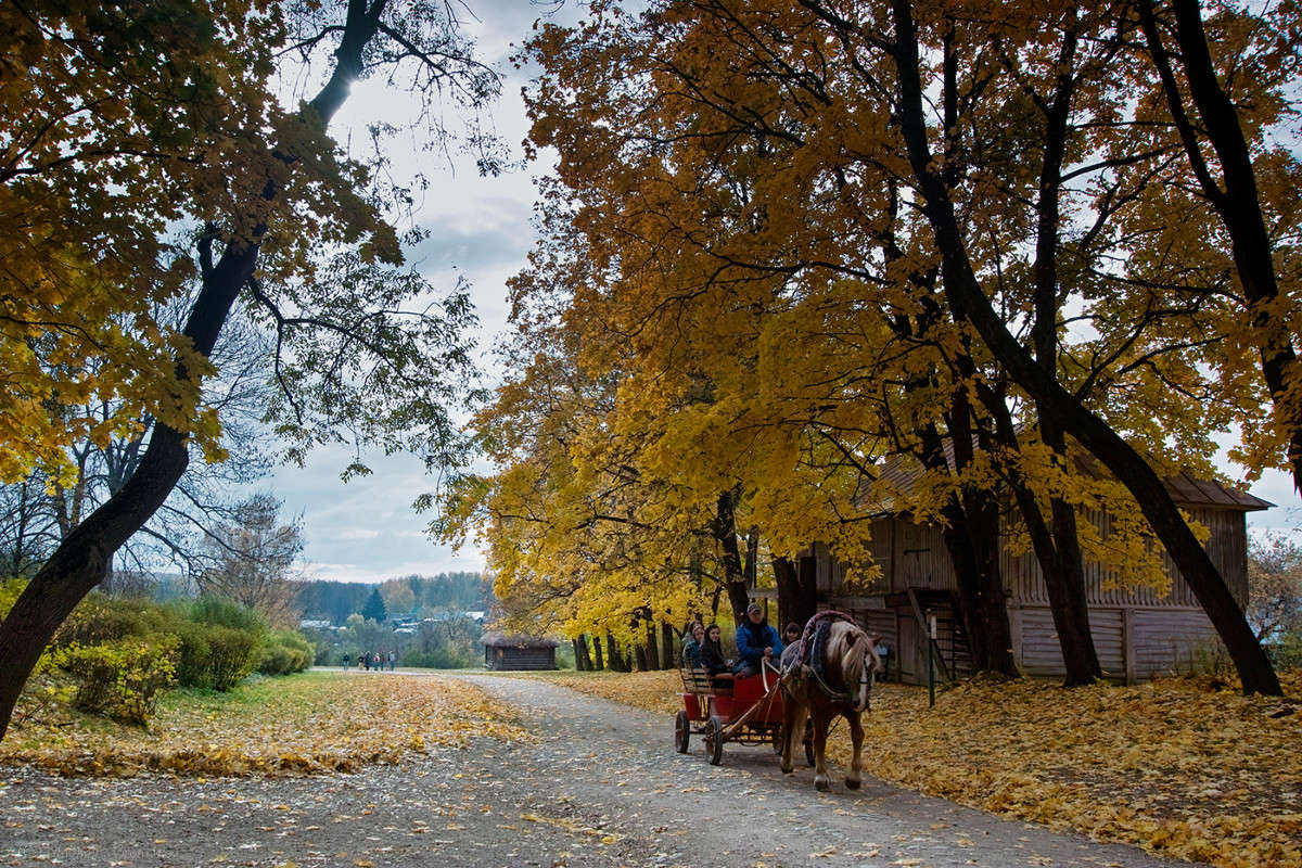 �������� �� ����� ������! ����� Vladimir Bronnikov �� PhotoGeek.ru #������ ��� �������