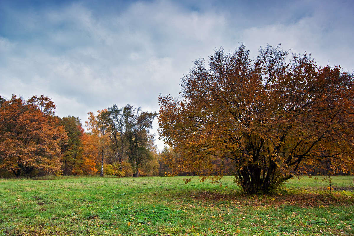 �� ����� ����� ������! ����� Vladimir Bronnikov �� PhotoGeek.ru #������ ��� �������