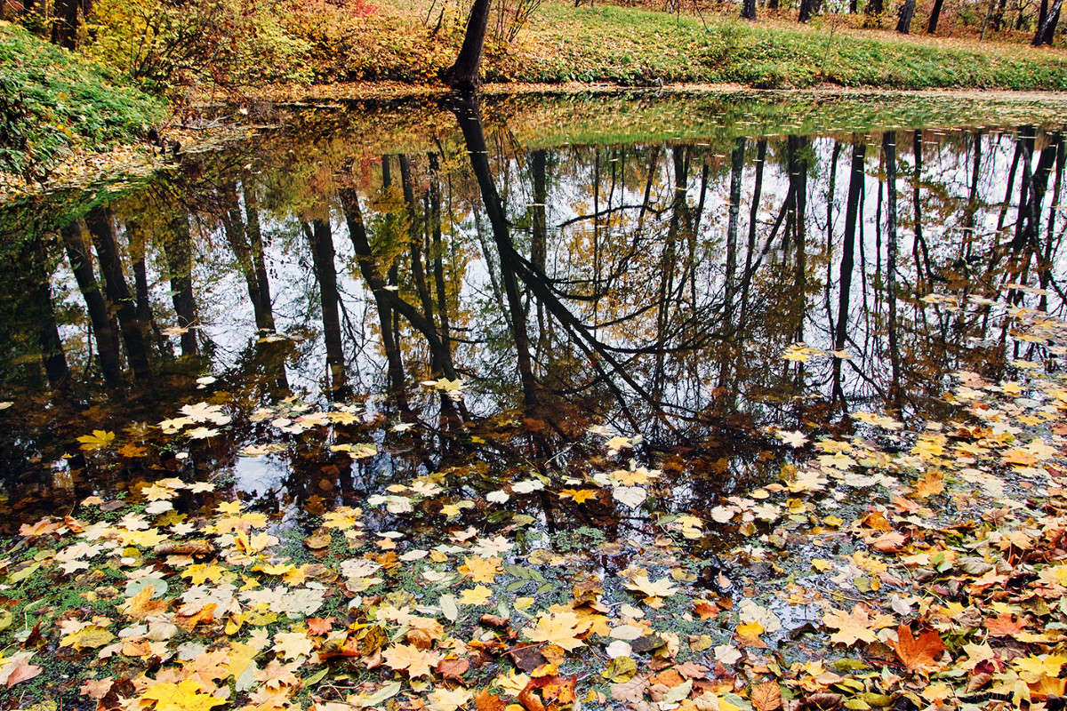 ��������� ����� ����� Vladimir Bronnikov �� PhotoGeek.ru #������ ��� �������