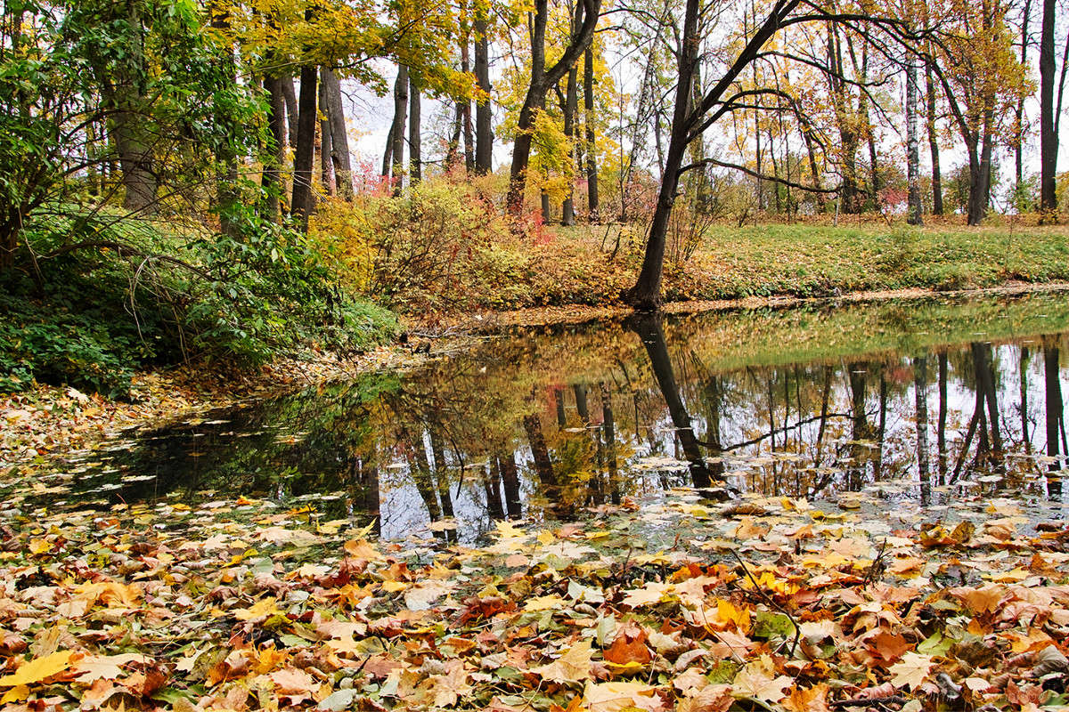 ������� ���� ����� Vladimir Bronnikov �� PhotoGeek.ru #������ ��� �������