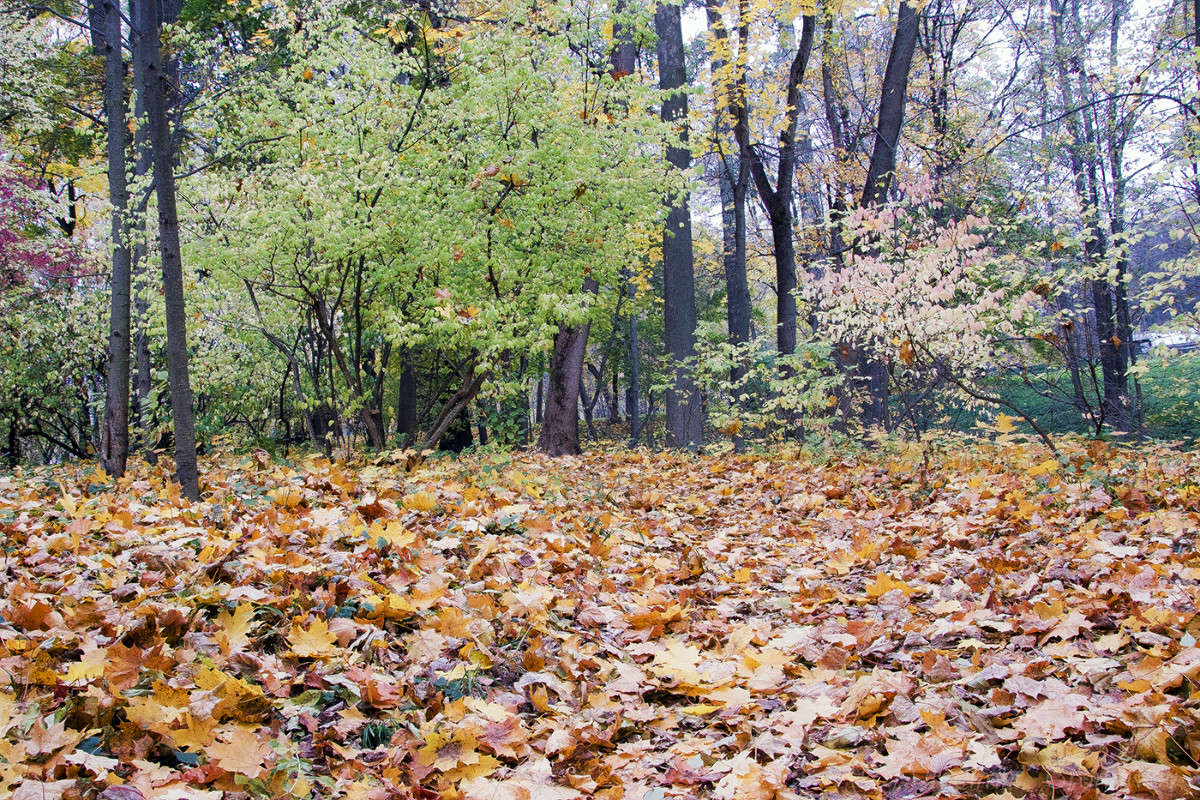 ������ ����� 2 ����� Vladimir Bronnikov �� PhotoGeek.ru #������ ��� �������