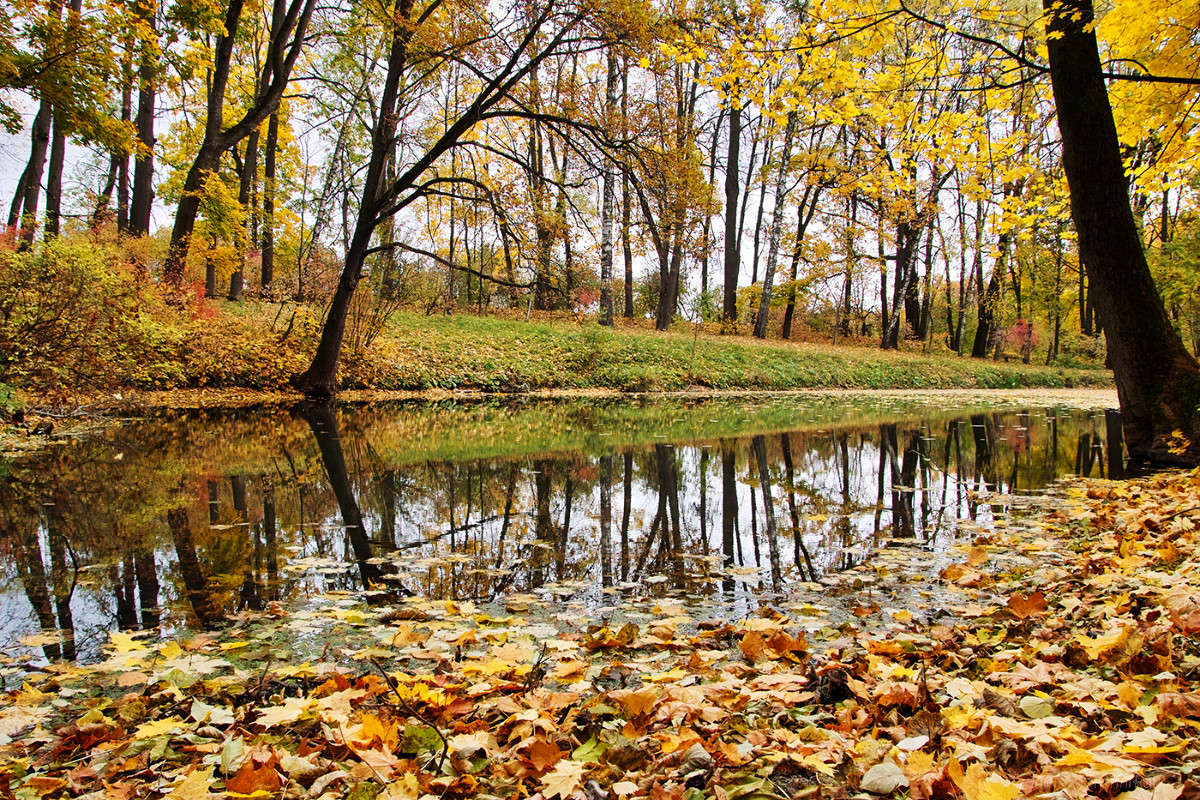 �������� ���� ����� Vladimir Bronnikov �� PhotoGeek.ru #������ ��� �������