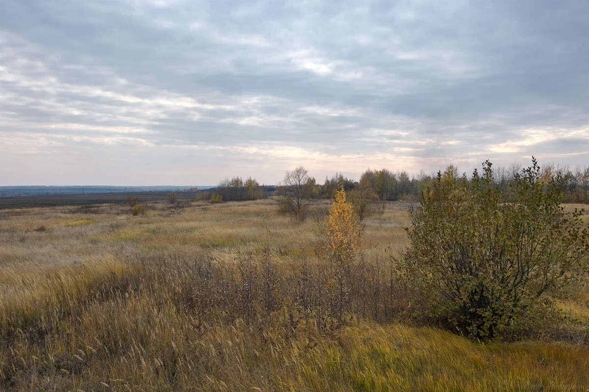 ����� ������............ ����� Vladimir Bronnikov �� PhotoGeek.ru #������ ��� �������