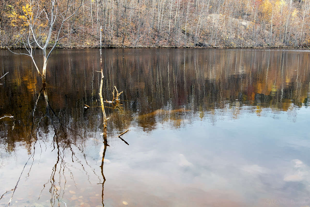 ��������� ����� Vladimir Bronnikov �� PhotoGeek.ru #������ ��� �������