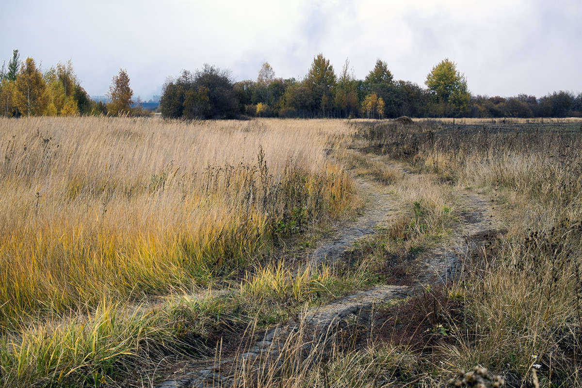 ������......,����! ����� Vladimir Bronnikov �� PhotoGeek.ru #������ ��� �������