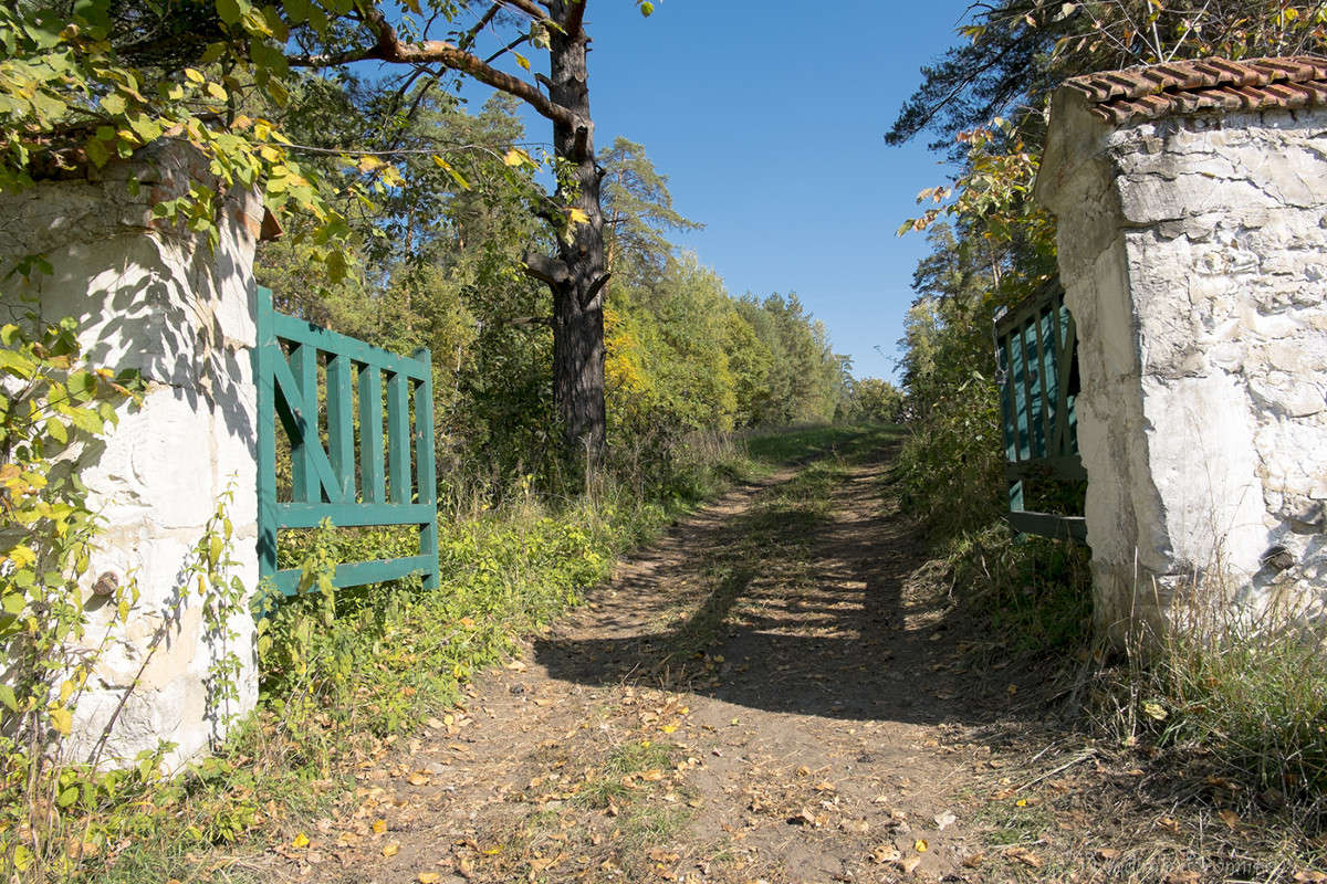 �������� � ��������! ����� Vladimir Bronnikov �� PhotoGeek.ru #������ ��� �������