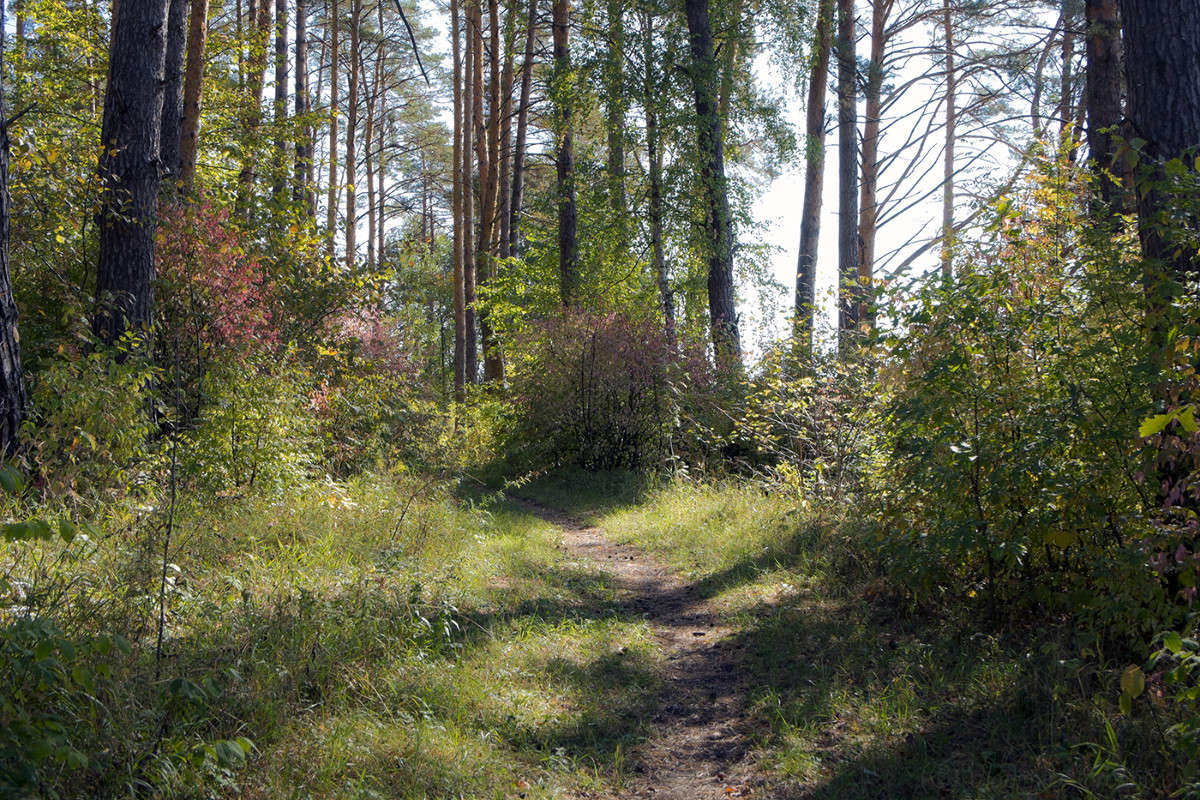 �������� � ��������! ����� Vladimir Bronnikov �� PhotoGeek.ru #������ ��� �������