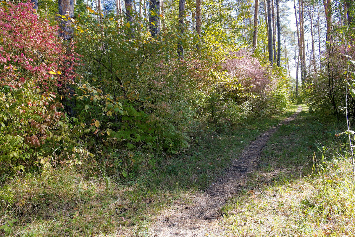 �������� � ��������. ����� Vladimir Bronnikov �� PhotoGeek.ru #������ ��� �������