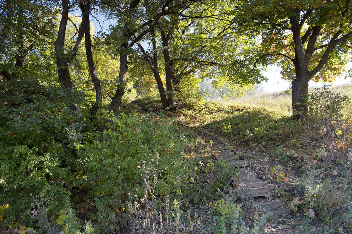 ��������� �� �������� ����� Vladimir Bronnikov �� PhotoGeek.ru #������ ��� �������