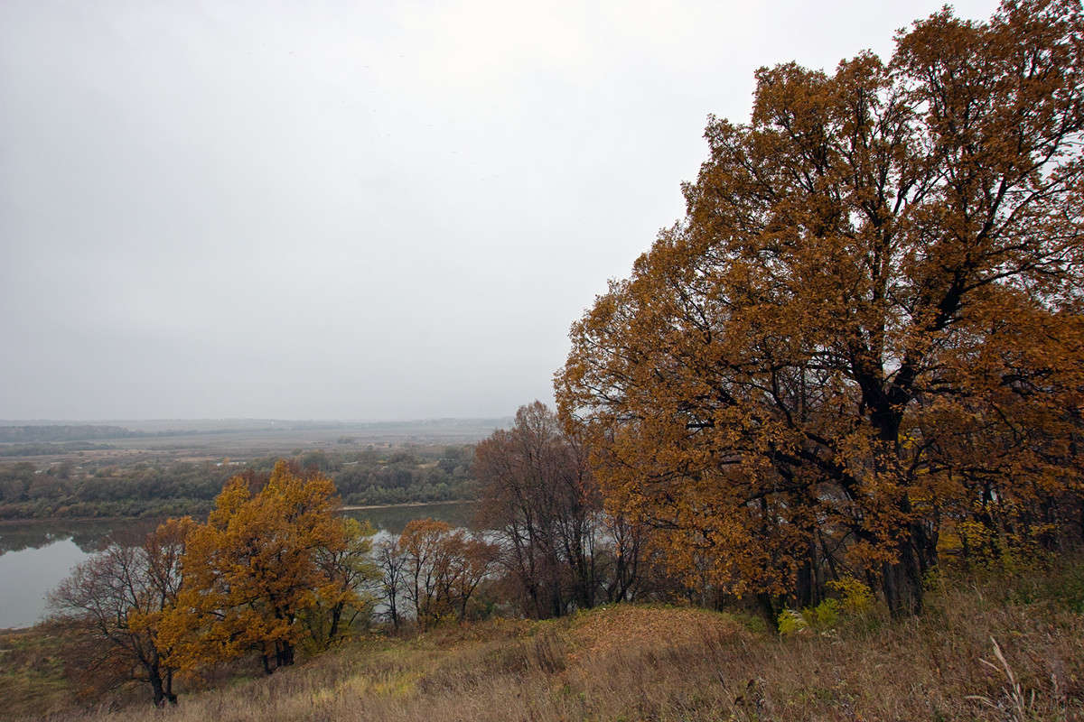 ��� �� �.���! ����� Vladimir Bronnikov �� PhotoGeek.ru #������ ��� �������