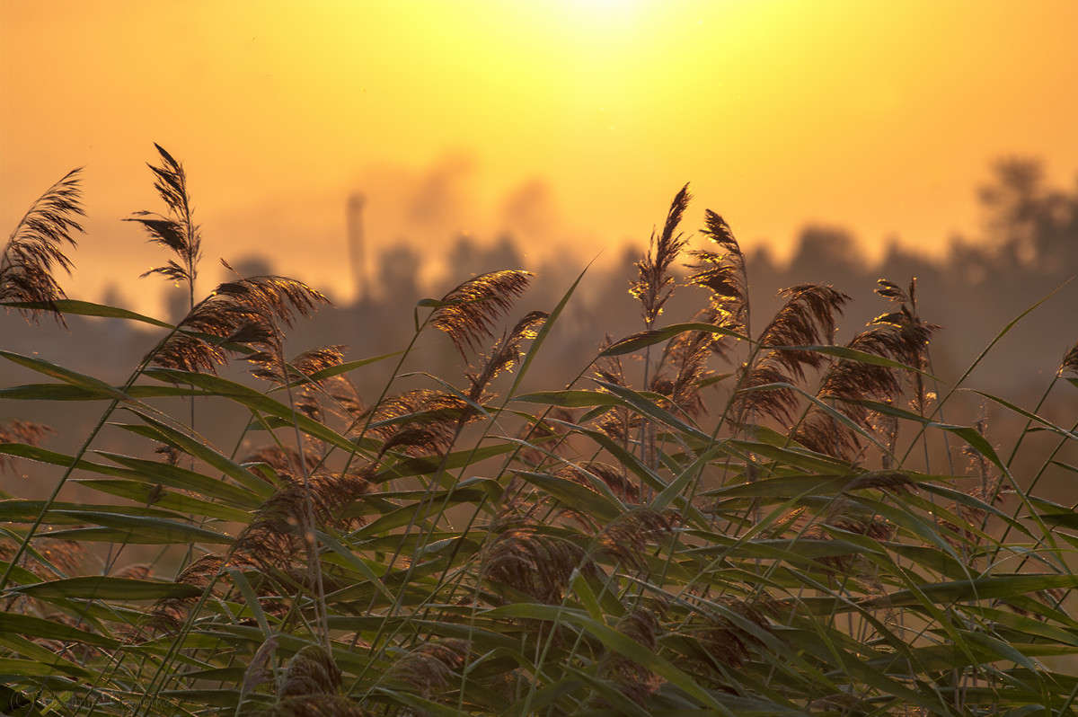 ��������� �������! ����� Vladimir Bronnikov �� PhotoGeek.ru #������ ��� �������