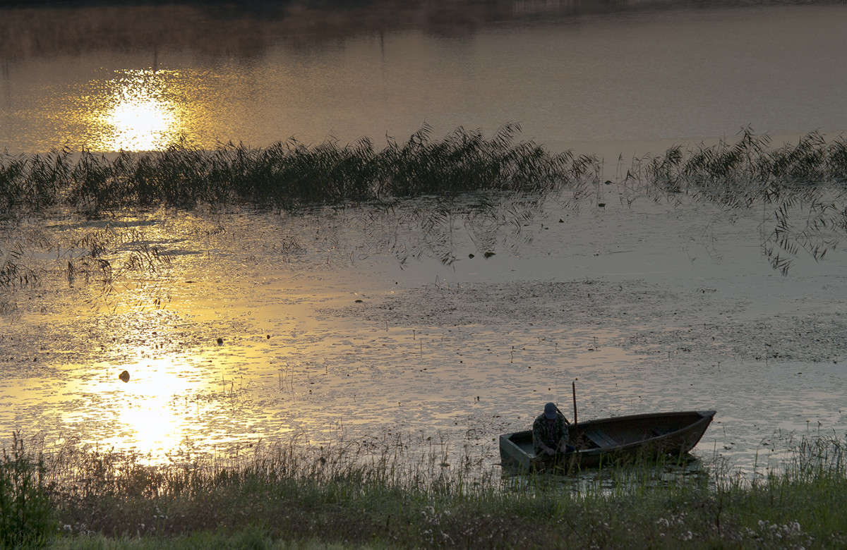 ���� ������........ ����� Vladimir Bronnikov �� PhotoGeek.ru #������ ��� �������