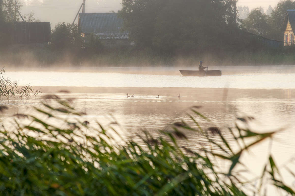 �� �������............. ����� Vladimir Bronnikov �� PhotoGeek.ru #������ ��� �������