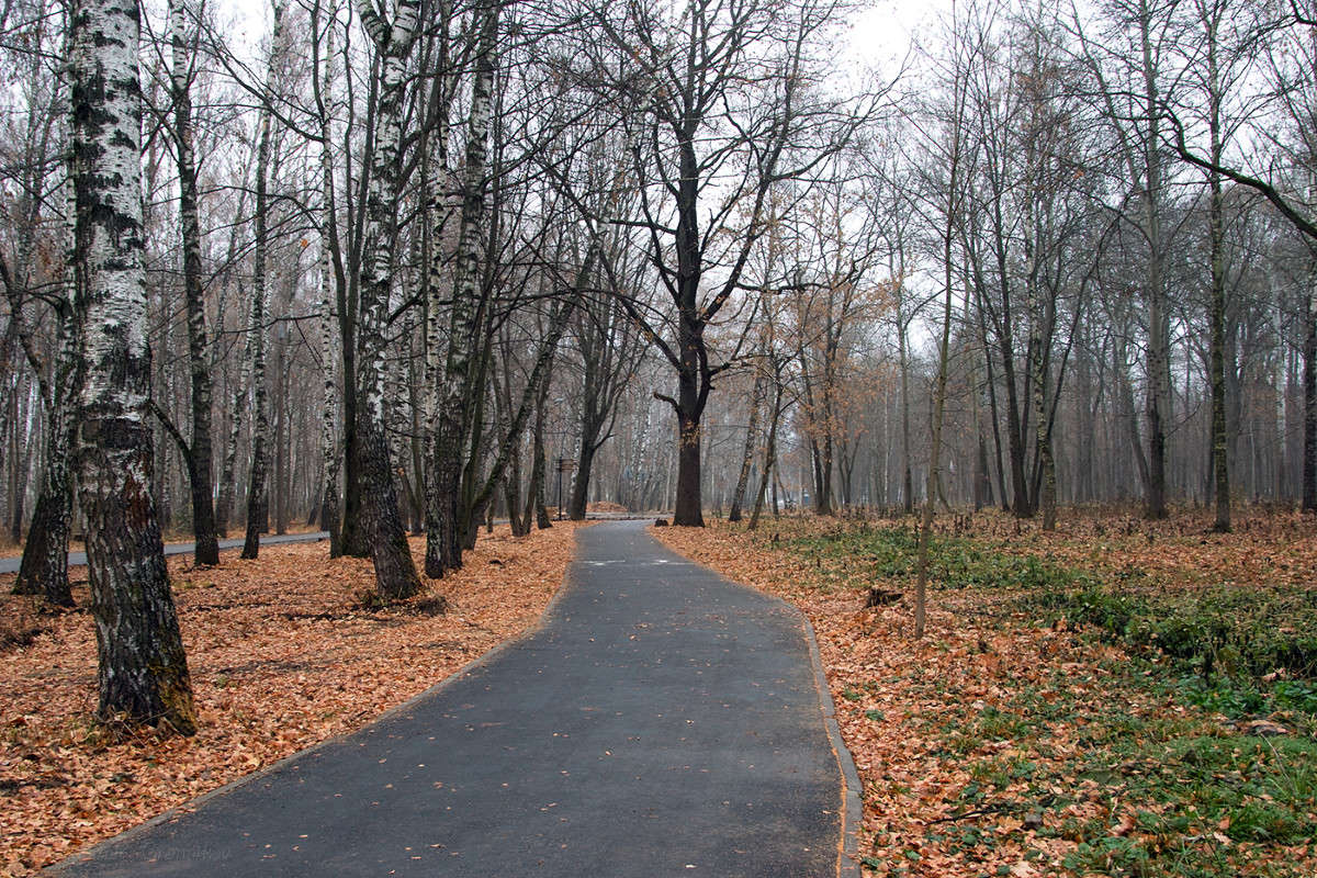 ���������� �������� ���� ����� Vladimir Bronnikov �� PhotoGeek.ru #������ ��� �������