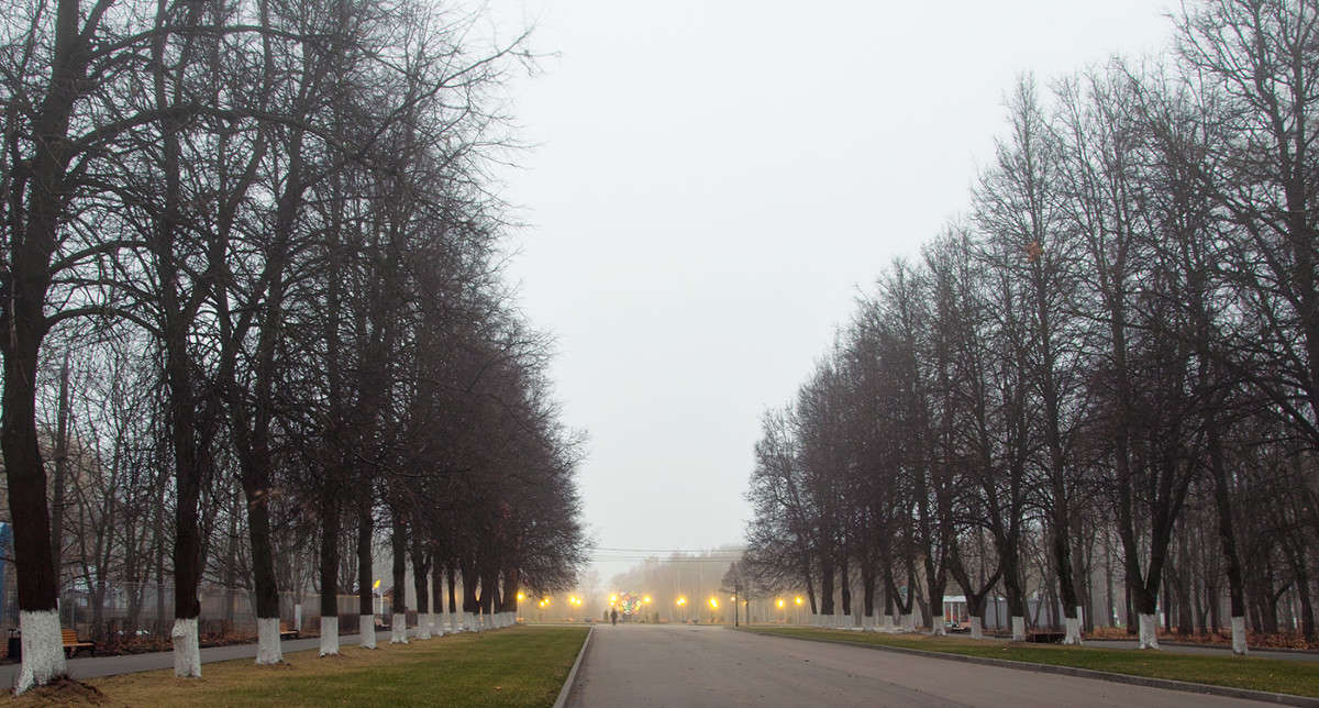 ���������� �������� ����. ����� Vladimir Bronnikov �� PhotoGeek.ru #������ ��� �������