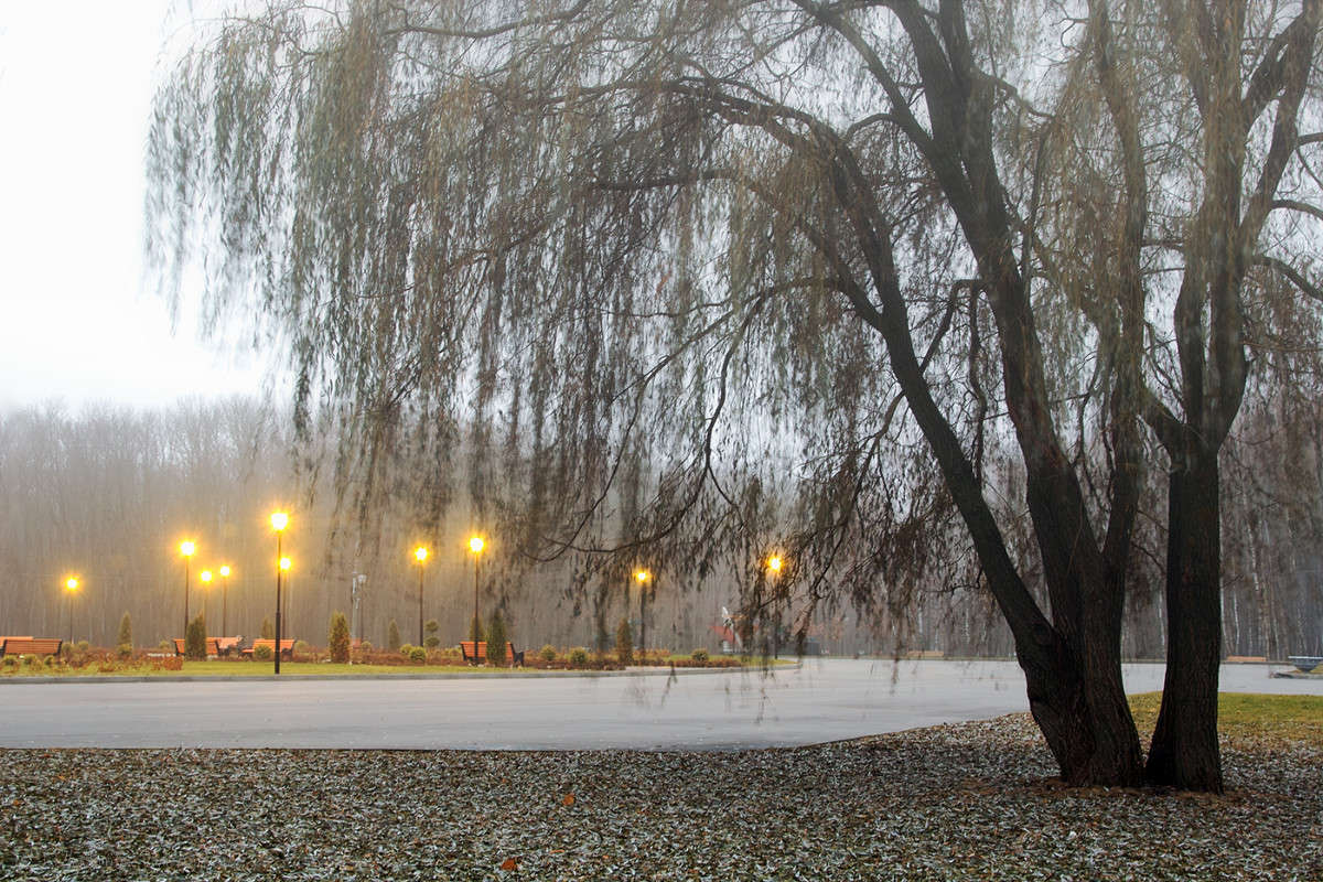 ����-������-����........ ����� Vladimir Bronnikov �� PhotoGeek.ru #������ ��� �������