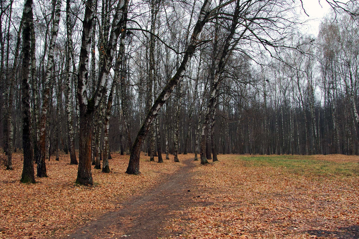 ������� ���� ����� Vladimir Bronnikov �� PhotoGeek.ru #������ ��� �������