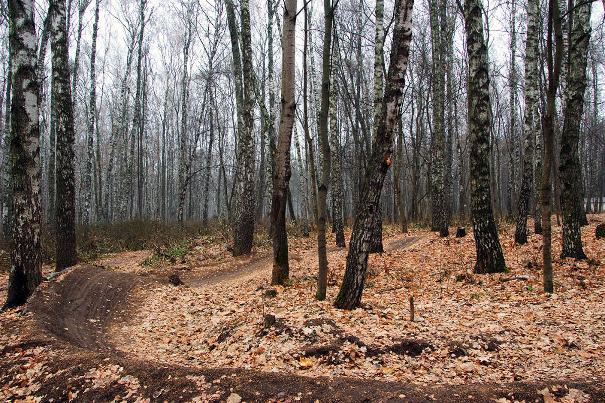 ��������� �����������.... ����� Vladimir Bronnikov �� PhotoGeek.ru #������ ��� �������