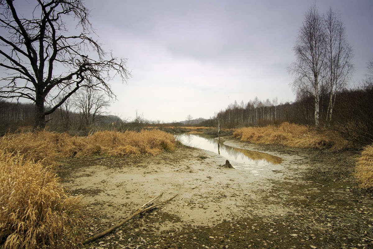 ������ ���������� ����. ����� Vladimir Bronnikov �� PhotoGeek.ru #������ ��� �������