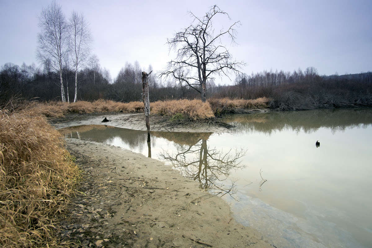 ���� ����.............. ����� Vladimir Bronnikov �� PhotoGeek.ru #������ ��� �������