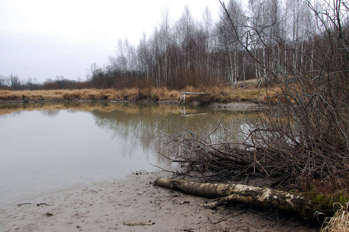 ���������� ����� �� ����..... ����� Vladimir Bronnikov �� PhotoGeek.ru #������ ��� �������