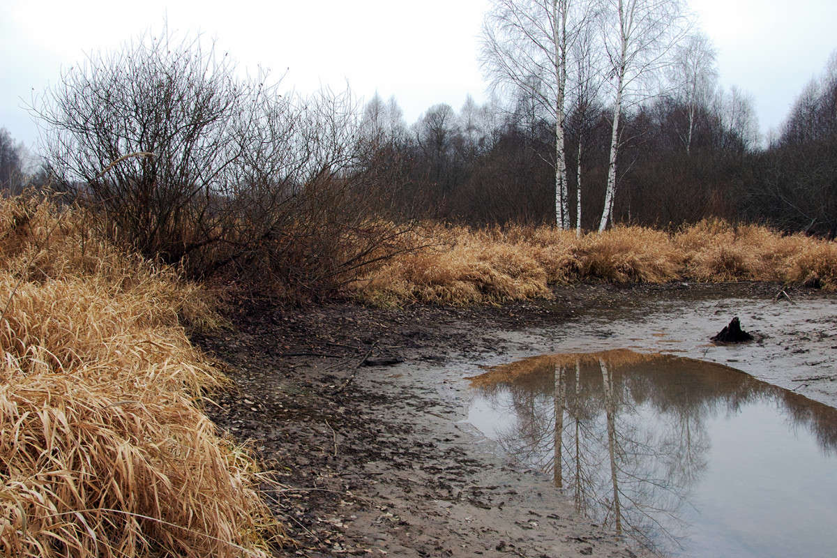 ������ ����..... ����� Vladimir Bronnikov �� PhotoGeek.ru #������ ��� �������