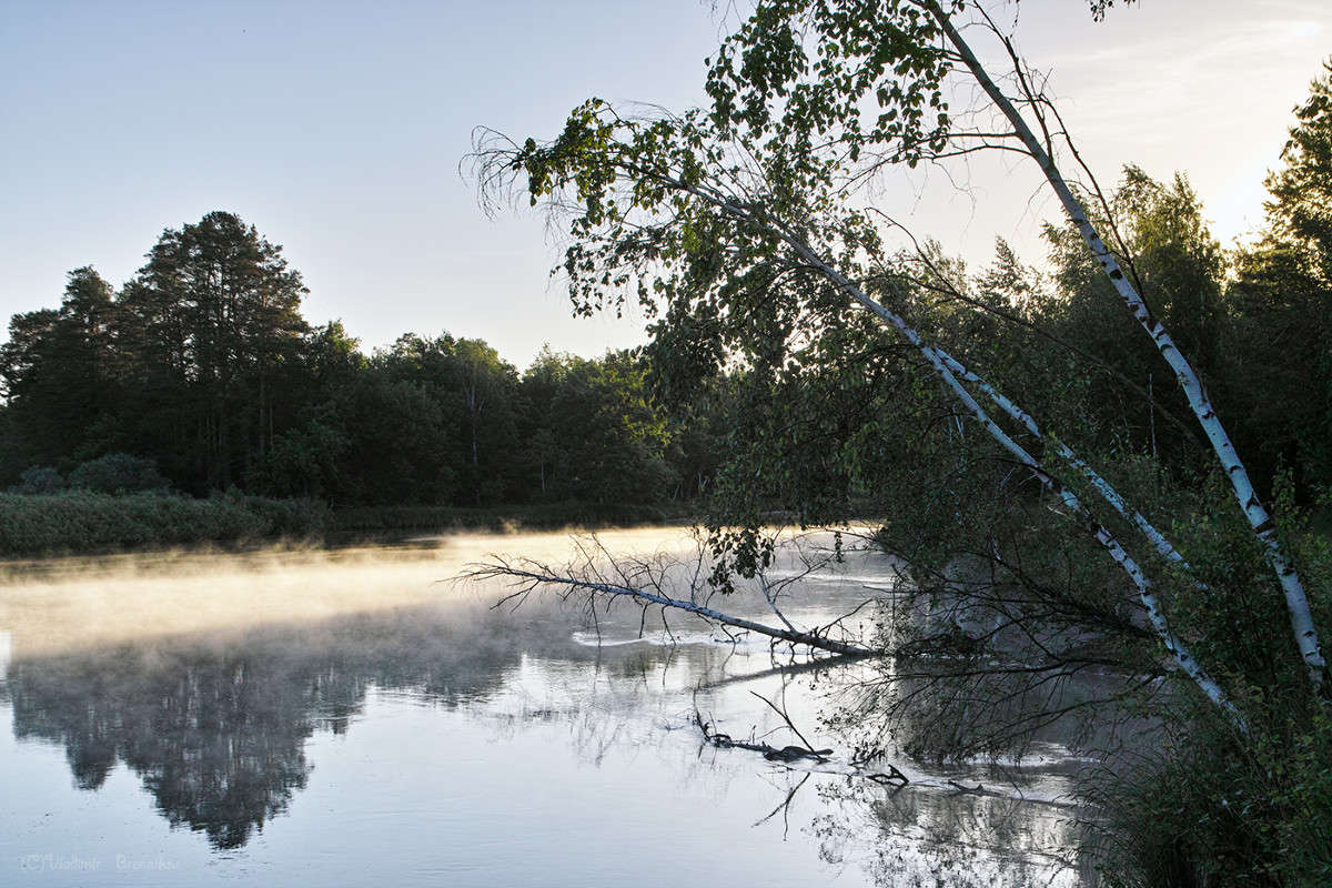 �������-���������� ����! ����� Vladimir Bronnikov �� PhotoGeek.ru #������ ��� �������